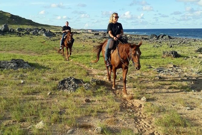 Aruba Horseback Riding Tour to Hidden Lagoon - Criticisms