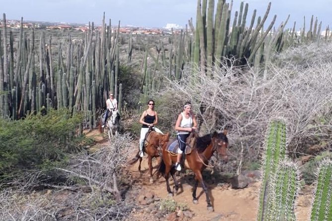 Aruba Horseback Riding Tour to Hidden Lagoon - Unique Experiences