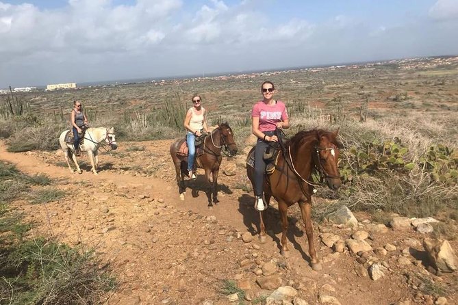 Aruba Horseback Riding Tour to Hidden Lagoon - Additional Information