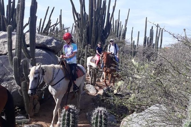 Aruba Horseback Riding Tour to Urirama Cove - Additional Information and Restrictions