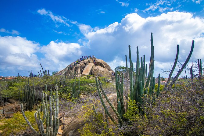 Aruba Island Sightseeing Tour Plus Arashi Beach Visit - Arashi Beach Relaxation