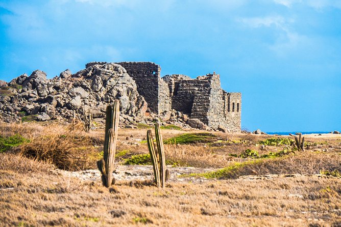 Aruba: Natural Bridge, Alto Vista Chapel, Casibari Rock Tour - Positive Reviews