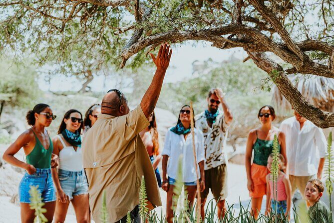 Aruba Natural Wonders Caves and Natural Pool Jeep Tour - Frequently Asked Questions