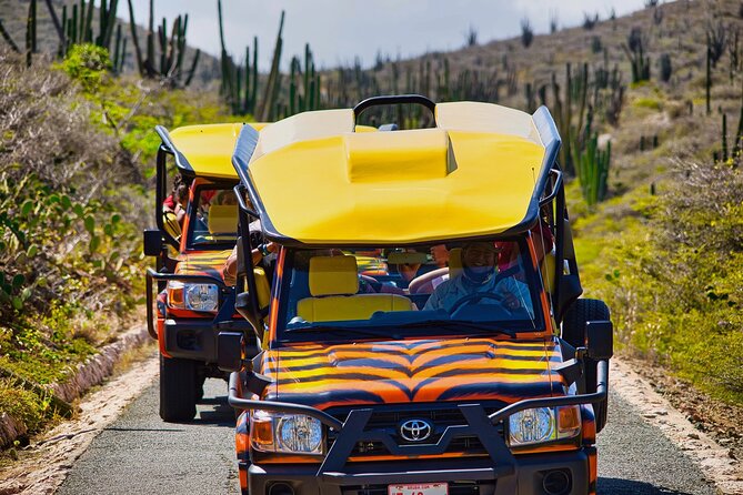 Aruba Off-Road Island Tour: Arikok National Park, Baby Beach - Customer Feedback