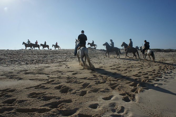 Aruba Private, 2 Hour Horseback Riding Tour For Advanced Riders - What To Expect