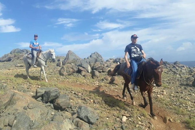 Aruba Private, 2 Hour Horseback Riding Tour For Advanced Riders - Tips for a Safe and Enjoyable Ride