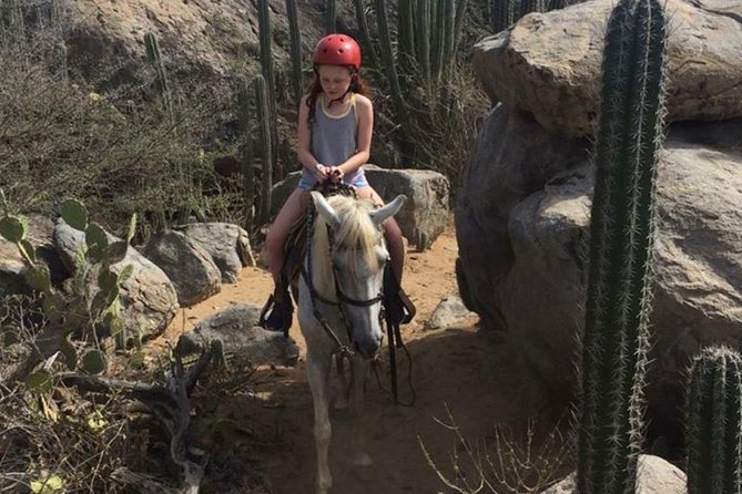 Aruba Private, 2 Hour Horseback Riding Tour For Advanced Riders - The Sum Up