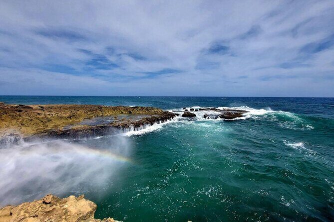 Aruba Private 8 Hour Full Island Customized Adventure Tour - Good To Know