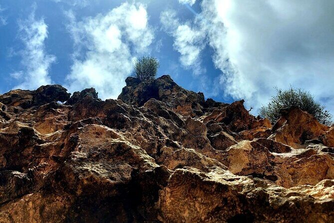 Aruba Private 8 Hour Full Island Customized Adventure Tour - Final Thoughts