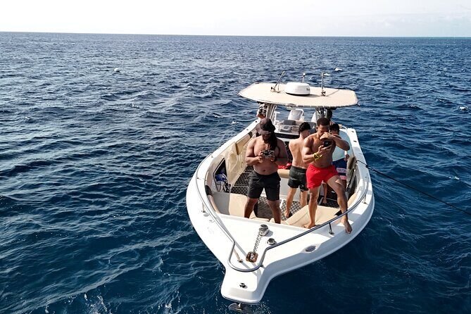 Aruba Private Boat Charter: Morning, Afternoon or Sunset Cruise - Who Should Book This Tour?