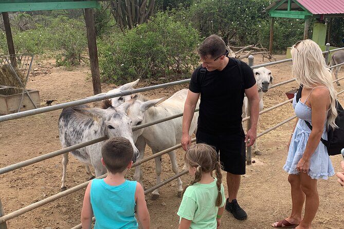 Aruba Private Island tour A/C Van - A Closer Look at the Aruba Private Island Tour