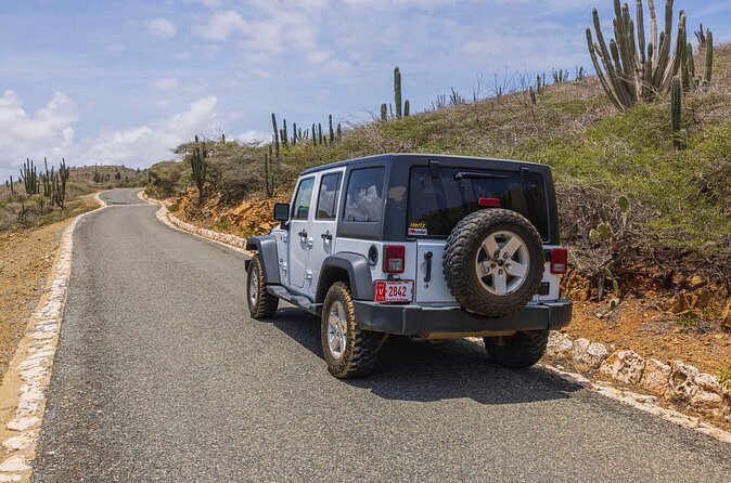 Aruba Private Jeep Tours With Exciting Attractions - The Sum Up