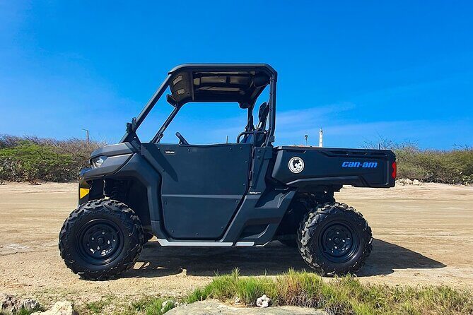 Aruba Rental Explore On Your Own - An In-Depth Look at the Aruba UTV Experience