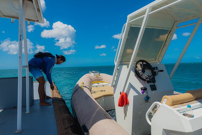 Aruba Single Jetski Waverunner Near Eagle Beach - Booking Information
