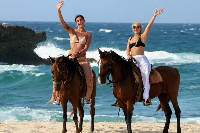 Aruba: Small-Group North Coast Horseback Tour - Experience and Highlights