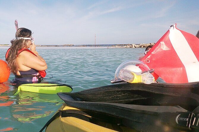 Aruba Snorkeling Tour: Mangel Halto and Baby Beach - The Experience: What to Expect from the Tour