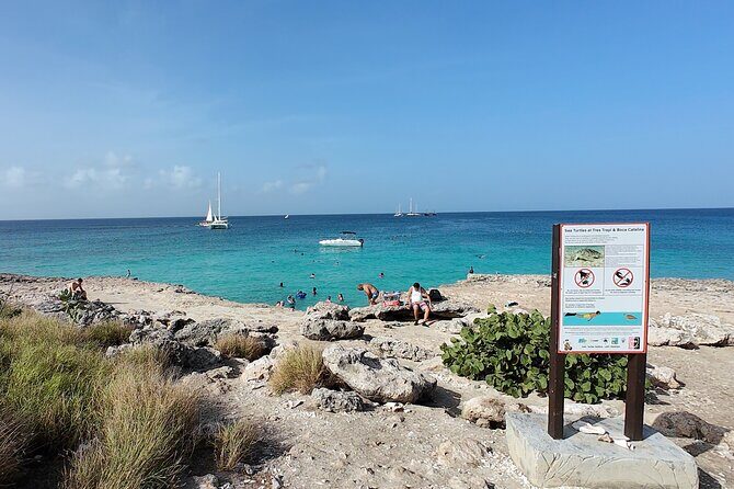 Aruba Turtle Spotting Snorkeling Adventure - Meeting Point and Convenience