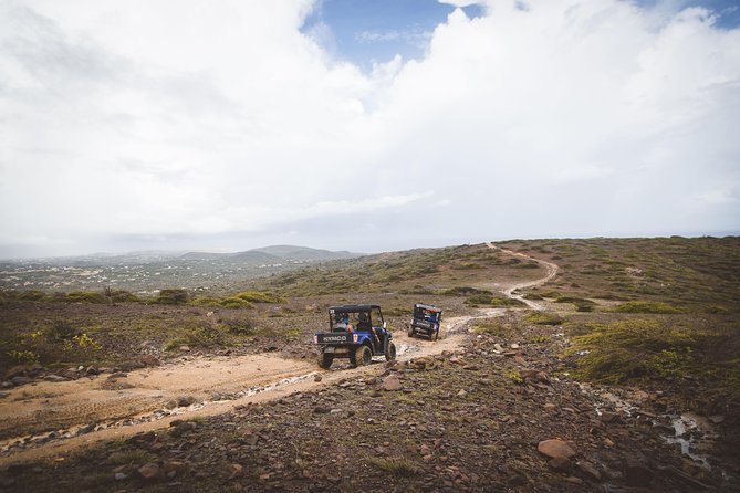 Aruba UTV Adventure Afternoon Tour - Reviews