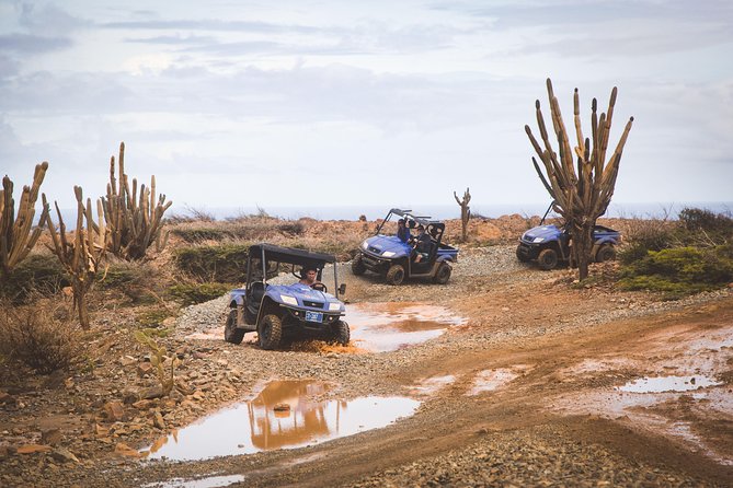 Aruba UTV Adventure Afternoon Tour - Directions