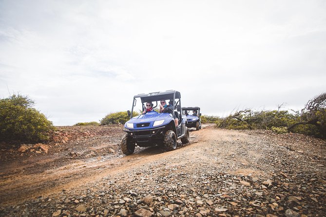 Aruba UTV Adventure Afternoon Tour - Common Questions