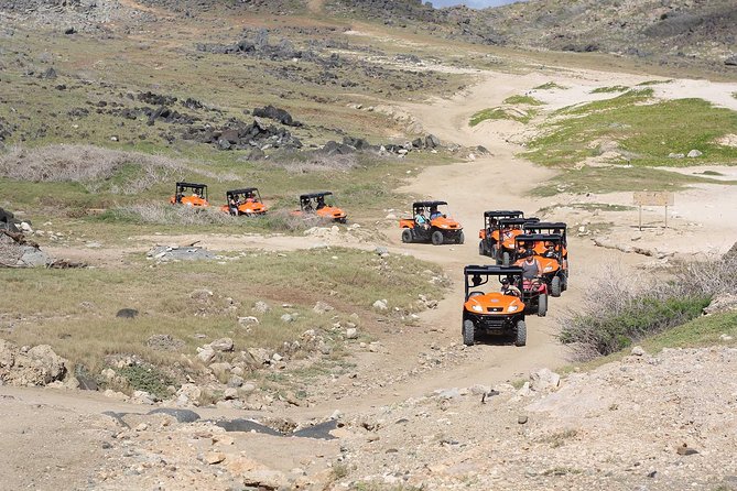 Aruba UTV Rentals For Off-Road Adventure - Good To Know