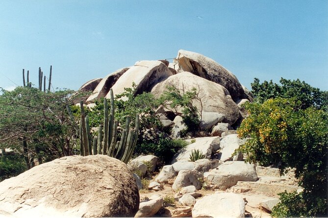 Aruba UTV Tour Natural Cave Pool & Cliff Jumping - Traveler Photos and Reviews