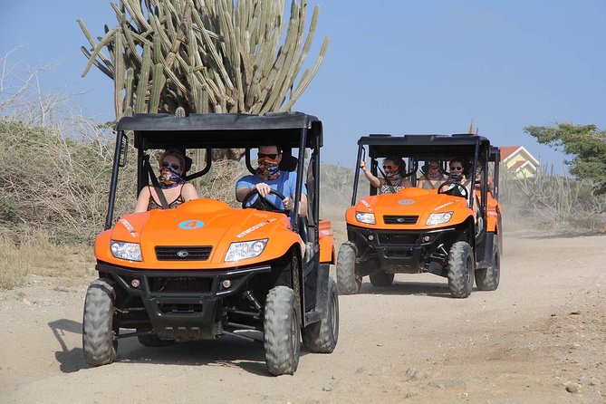 Aruba UTV Tour With Natural Cave Pool and Cliff Jumping - Common Questions