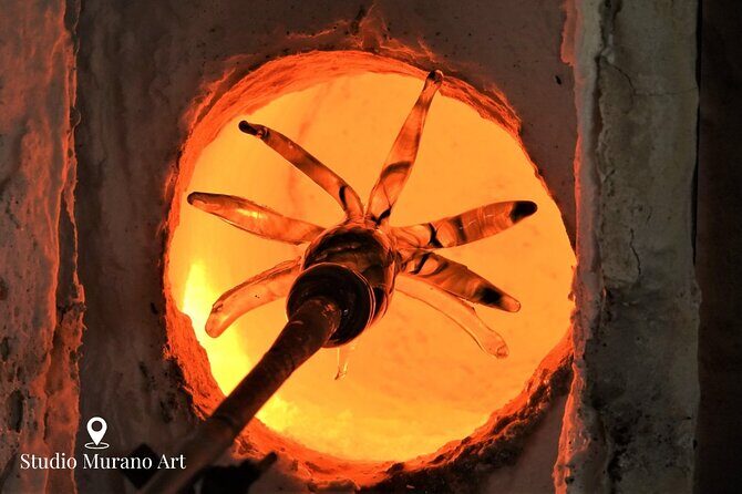 Aruba with Bus and Hop-on Hop-off Tour - The Sum Up