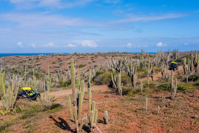 Arubas Wild Side - UTV Tour Exploring the Northern Treasure - Tour Highlights: Exploring Arubas Wild Side