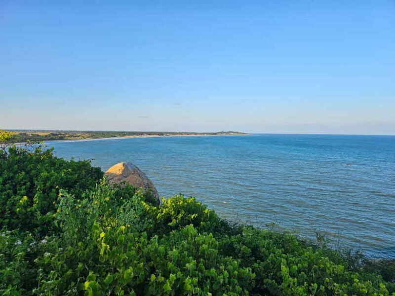 Arugam Bay: Elephant Rock Sunrise or Sunset Tour with Meals - Value and Practicality