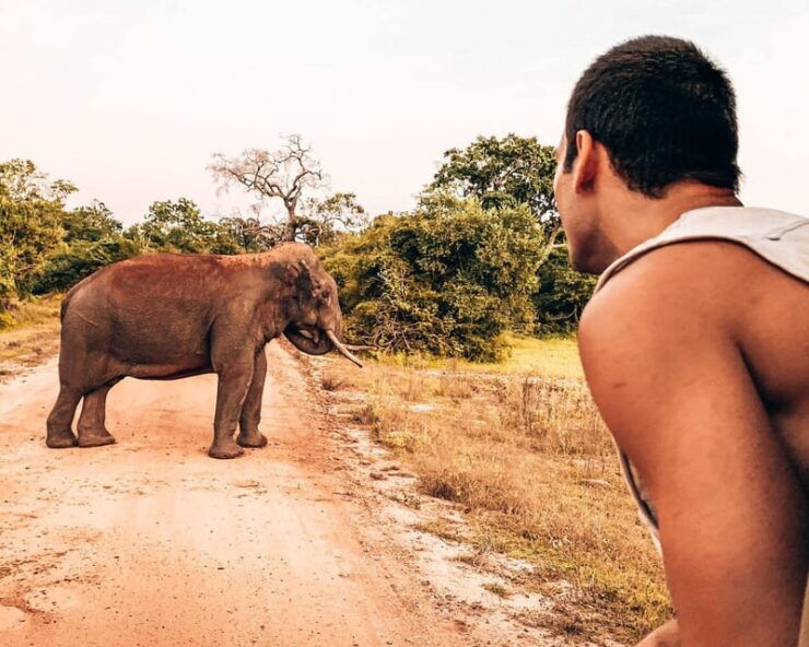 ARUGAM-BAY to Hiriketiya/Mirissa Transfer With YALA Safari - Good To Know