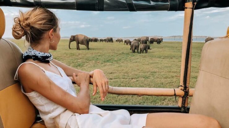 ARUGAM-BAY to Hiriketiya/Mirissa Transfer With YALA Safari - Wildlife Experience