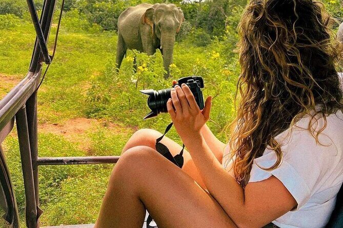 Arugam Bay to Mirissa Shuttle and Safari Drive - Exploring the Arugam Bay to Mirissa Shuttle and Safari Drive: An Authentic Sri Lankan Day Trip