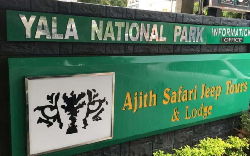 Arugam Bay: Yala Safari & DropOff in Ella - Safari + Transit - The Sum Up