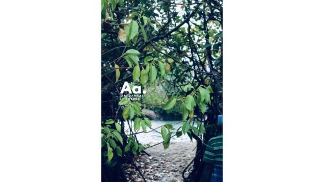 Arugambay: Mangrove Watching in Pottuvil Lagoon - Dual Sessions for Diverse Experiences
