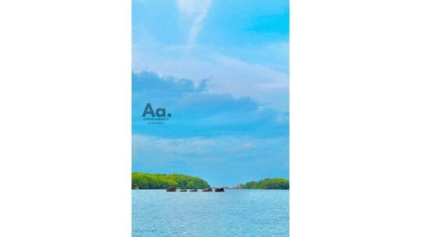 Arugambay: Mangrove Watching in Pottuvil Lagoon - Coconut Refreshment During the Tour