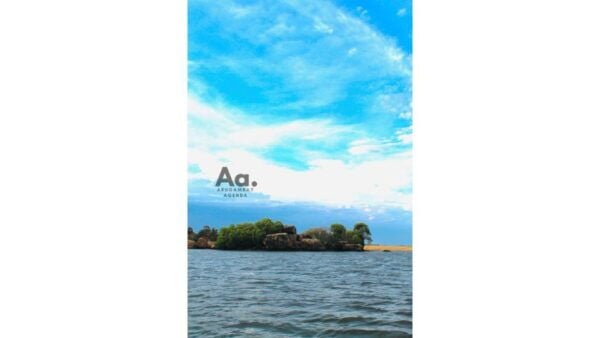 Arugambay: Mangrove Watching in Pottuvil Lagoon - Captivating Exploration of Pottuvil Lagoon