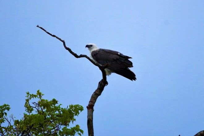 Arugambay :Pottuvil Lagoon Boat Safari Eco Tours - Important Information