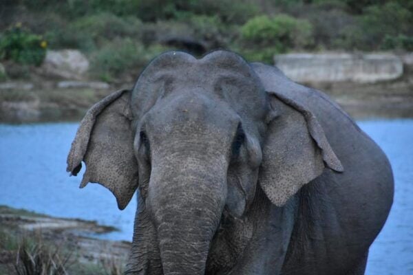 Arugambay :Pottuvil Lagoon Boat Safari Eco Tours - Eco-Friendly Practices