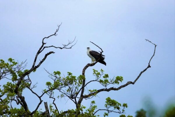 Arugambay :Pottuvil Lagoon Boat Safari Eco Tours - Booking and Cancellation Policy
