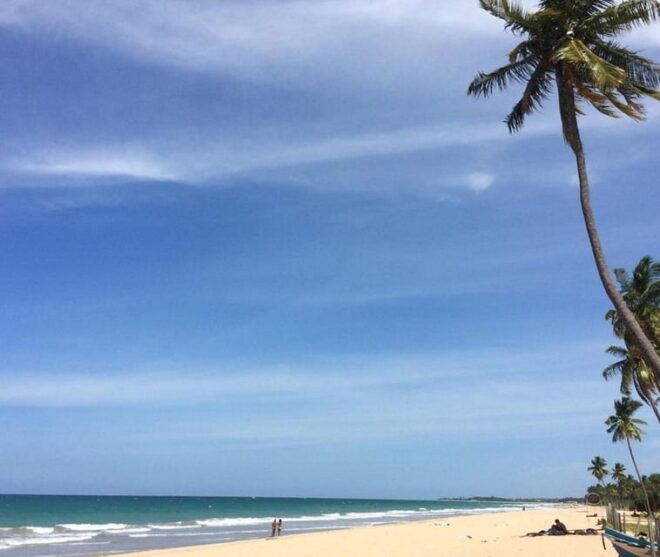 ARUGAMBAY THE BEST SURFING BEACH IN SRILANKA - Transportation Options