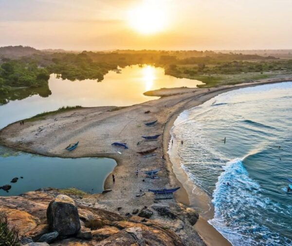 ARUGAMBAY THE BEST SURFING BEACH IN SRILANKA - Tips for Surfing Success
