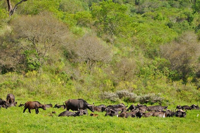 Arusha National Park Day Tour - Good To Know