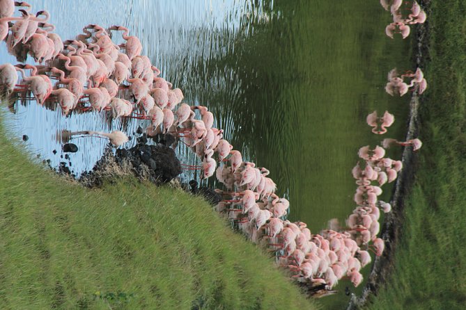 Arusha National Park Day Tour - Tour Schedule