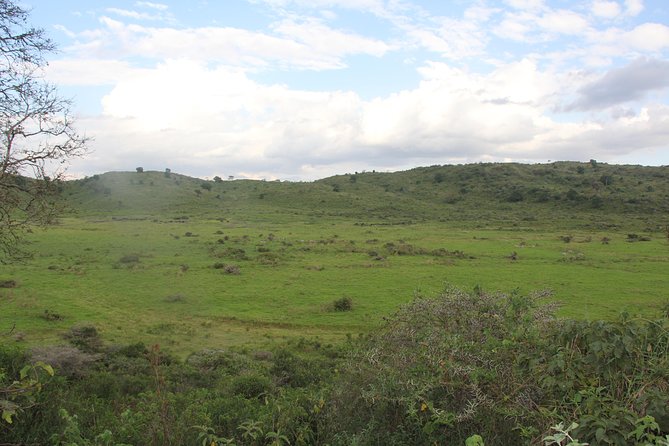 Arusha National Park Day Tour - Tour Restrictions
