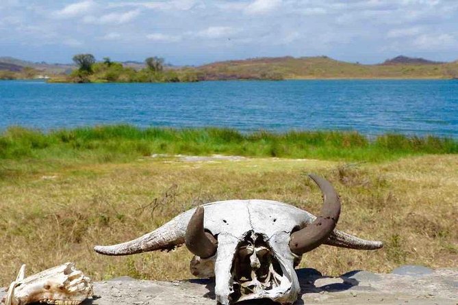 Arusha National Park Day Trip - Booking and Reservation Information