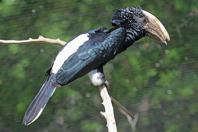Arusha National Park Day Trip From Arusha - Itinerary Overview