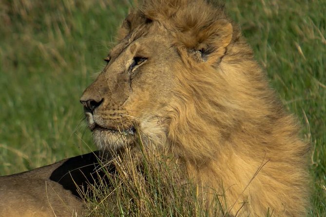 Arusha National Park Guided Day Tour From Arusha - What To Expect During the Tour