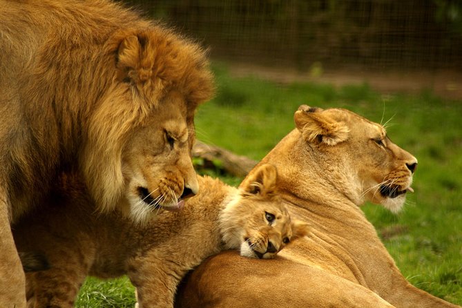 Arusha National Park Guided Day Tour From Arusha - Cancellation Policy and Additional Information