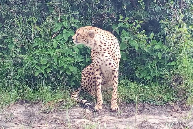 Arusha National Park Half Day Tour - Additional Info